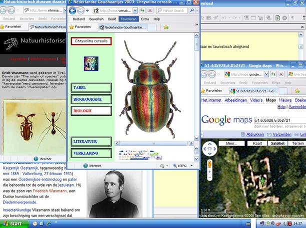 Erich Wasmann Chrysolina cerealis Jaap Winkelman kaart regenboog Nederland goudhaantjes website natuurhistorisch museum 