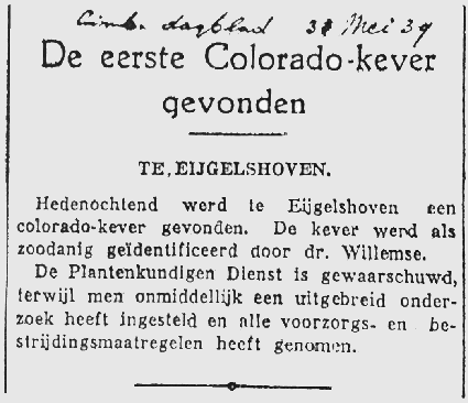 Leptinotarsa decemlineata Coloradokever Limburgs Dagblad Zoölogisch Museum Amsterdam